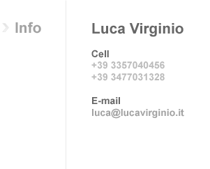 luca@lucavirginio.it